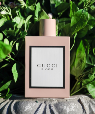 Find Your New Signature Scent Right Here